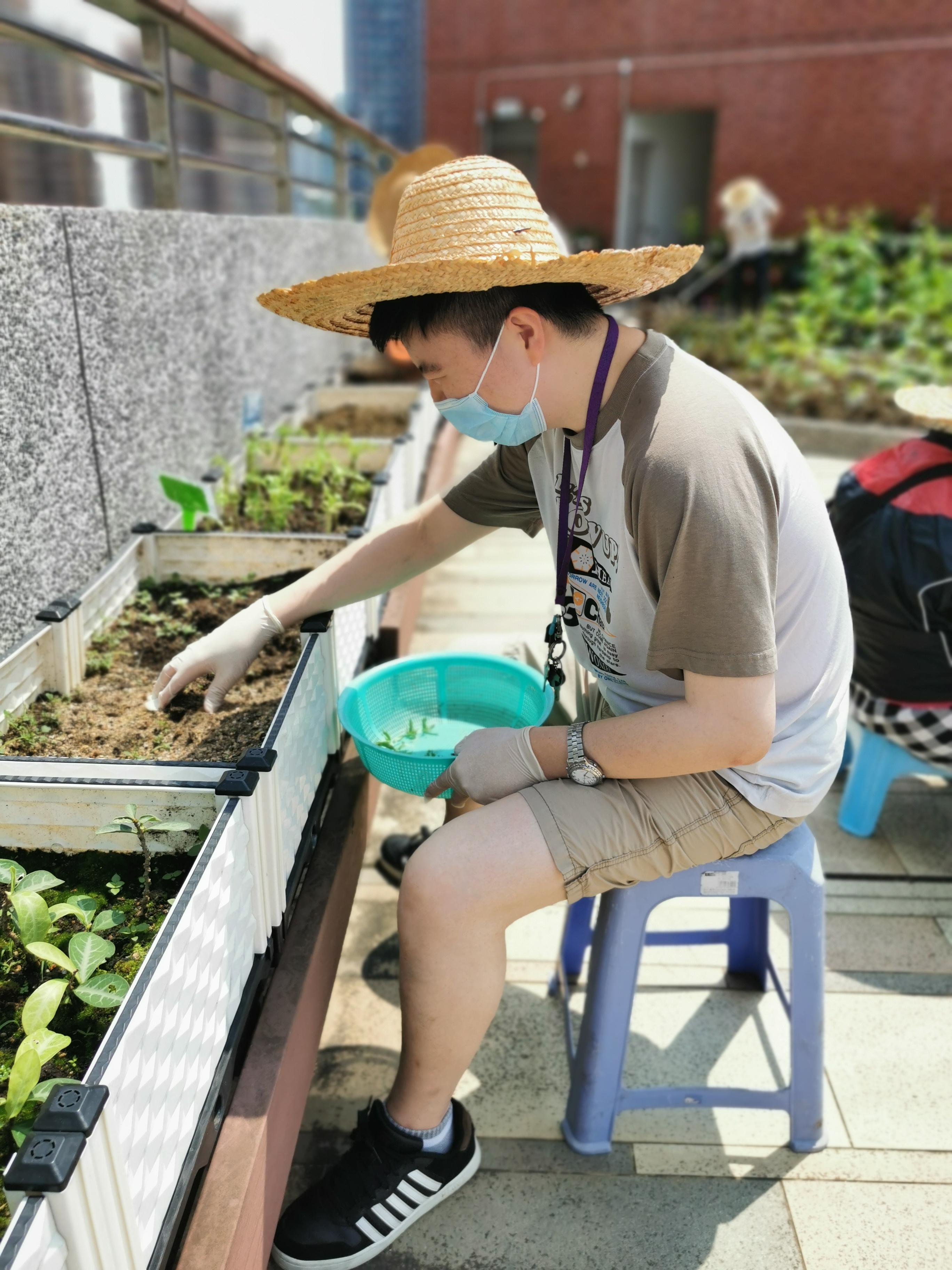 舍友在單位的天台農埸學習種植